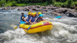 Sekelompok orang sedang menikmati keseruan rafting (arung jeram) di sungai deras, menunjukkan kekompakan tim saat liburan di Jawa Timur