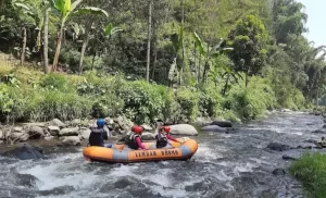 Sebuah tim sedang melakukan river tubing di sungai jernih Ledok Amprong, pilihan tempat outbound Malang yang memacu adrenalin.
