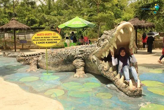 Zona reptil dan feeding buaya