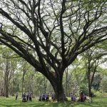 pemandangan asri kebun raya purwodadi