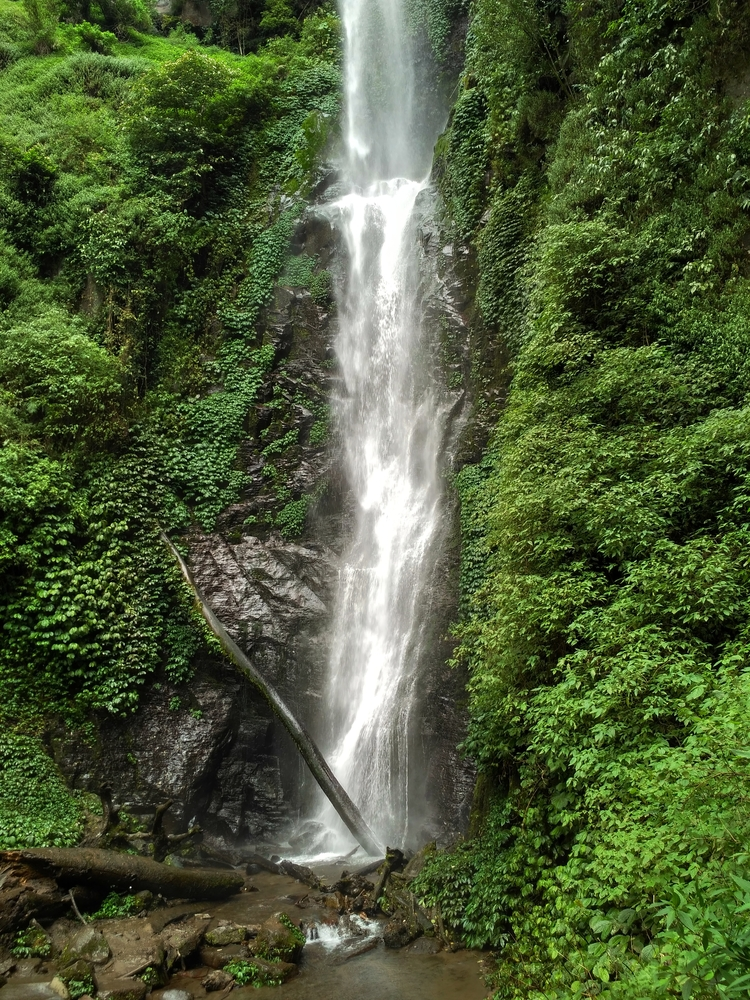 Coban Rais Batu Malang - suasana air terjun dan hutan hijau untuk wisata instagramable Malang