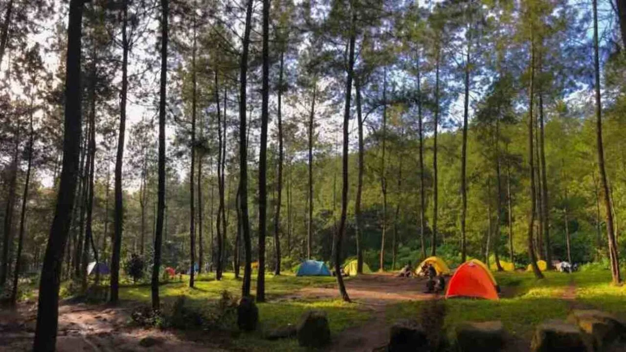 Rombongan wisata di Coban Rais Batu Malang cocok untuk keluarga, komunitas dan corporate outing