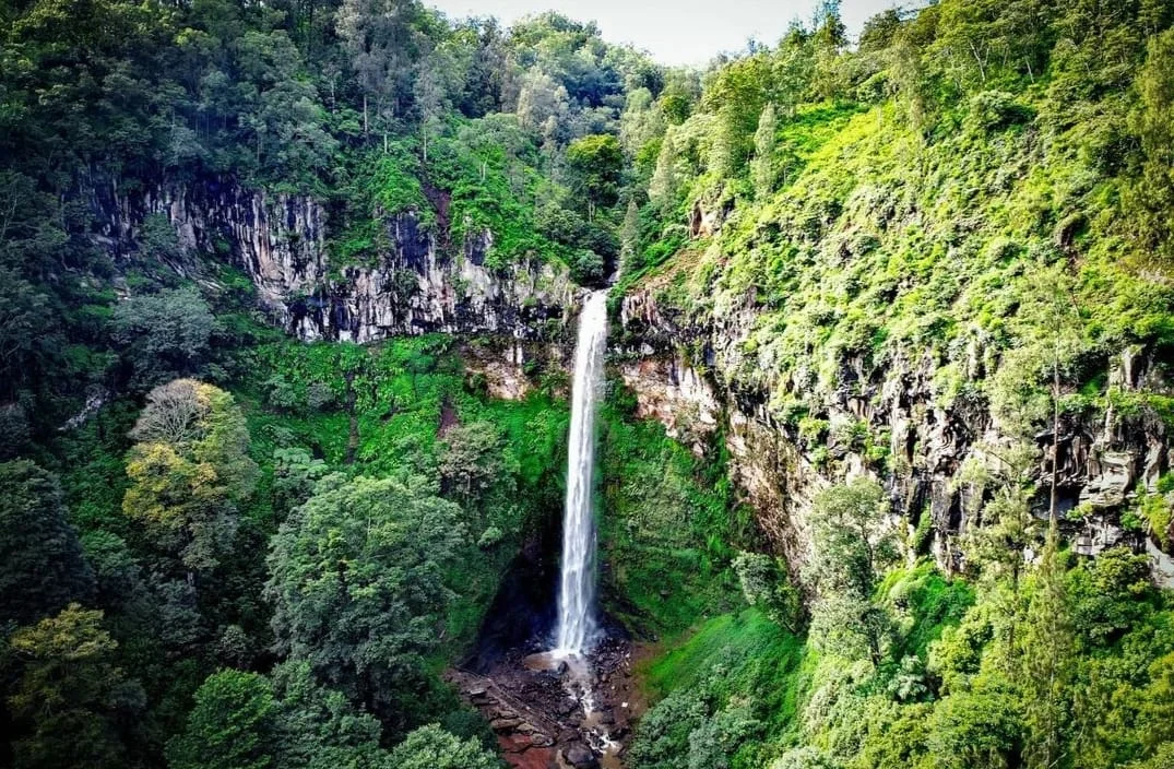 keindahan coban rondo malang suasana hutan pinus udara sejuk spot foto alami