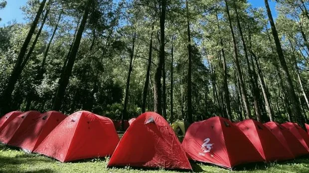 camping ground malang di coban rondo area camping fasilitas toilet mushola listrik