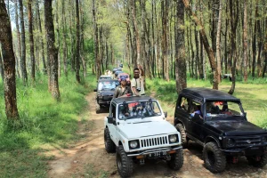 Panduan Lengkap Offroad: Definisi, Persiapan, dan Rekomendasi Lokasi