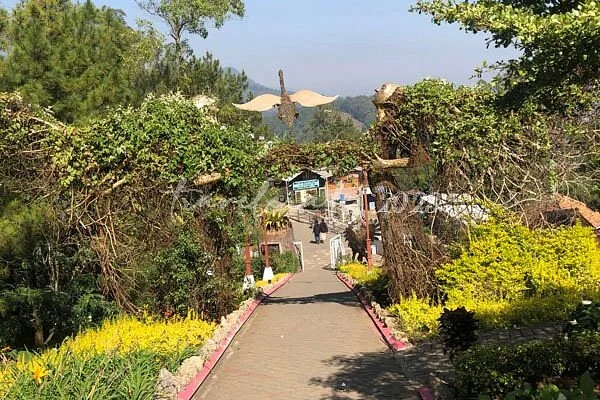 waktu terbaik berkunjung ke taman langit malang saat cuaca cerah dengan momen golden hour dan view pegunungan